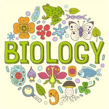 考前復習中，ib生物怎么提高？
